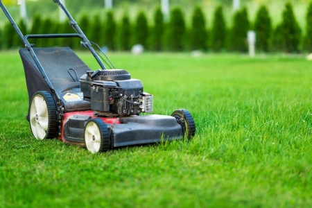 Wiosna w ogrodzie - wybieramy najlepsze urządzenia do dbania o trawnik